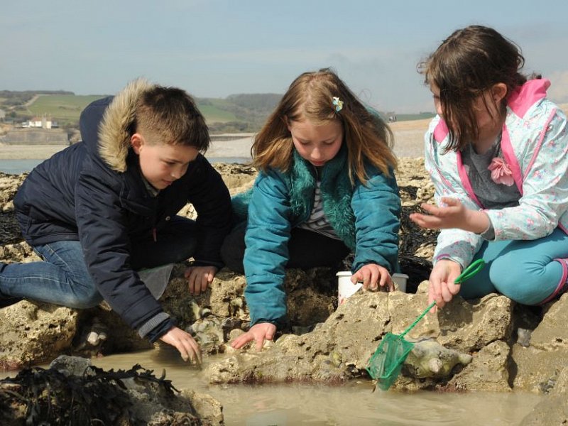 Volunteers wanted at Seven Sisters Country Park
